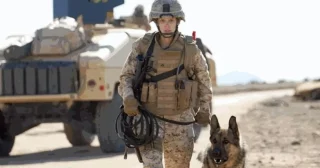 Immagine di copertina