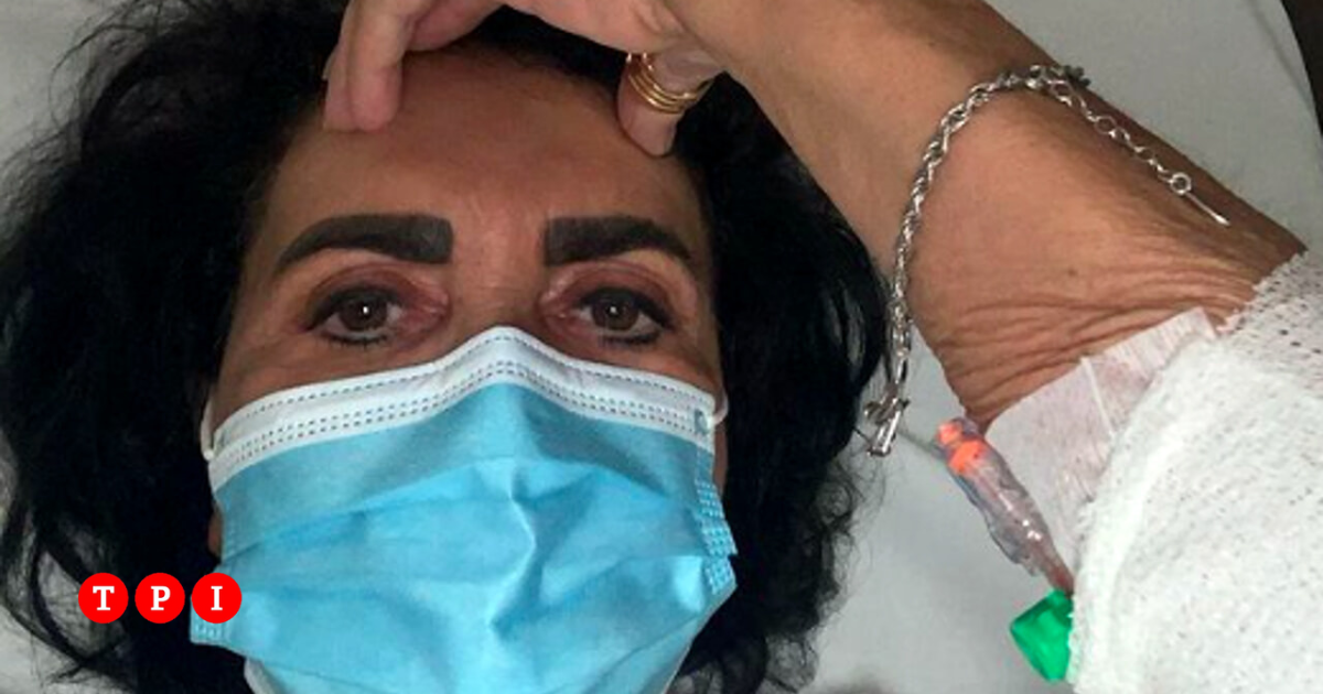 Cornflower back in hospital after peritonitis "Terrible year". How are