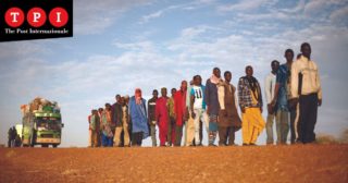 Immagine di copertina