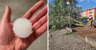 Immagine di copertina