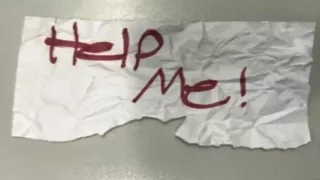 Immagine di copertina