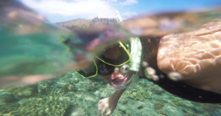 Immagine di copertina