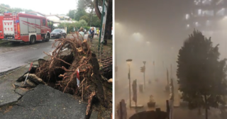 Immagine di copertina