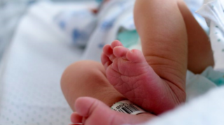 Immagine di copertina