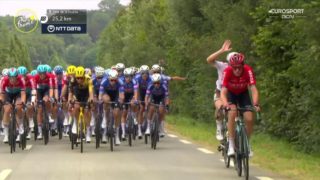 Immagine di copertina