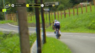 Immagine di copertina