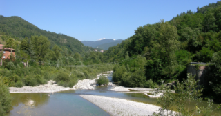 Immagine di copertina