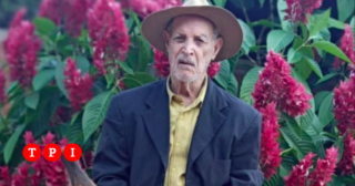 Immagine di copertina