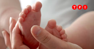 Immagine di copertina