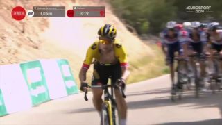 Immagine di copertina