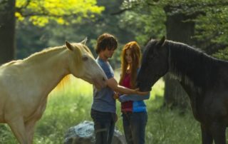 Immagine di copertina