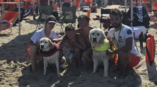 Immagine di copertina