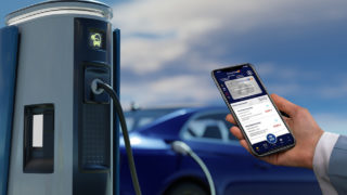 Immagine di copertina