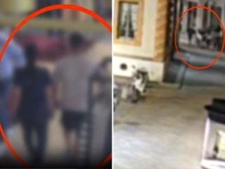 Immagine di copertina