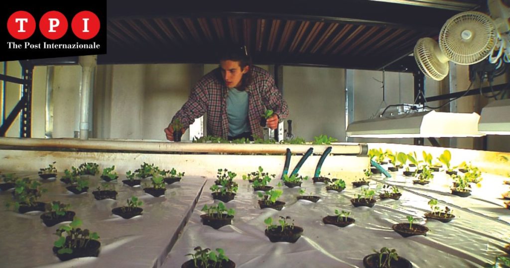 Bioeconomia prima fattoria idroponica acquaponica Castellana Grotte Bari Puglia Europa