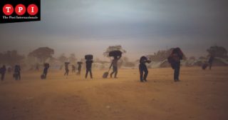 Immagine di copertina