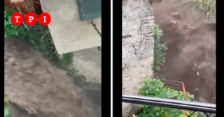 Immagine di copertina