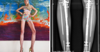 Immagine di copertina