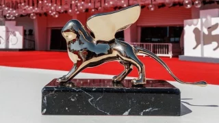 Immagine di copertina