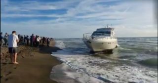 Immagine di copertina