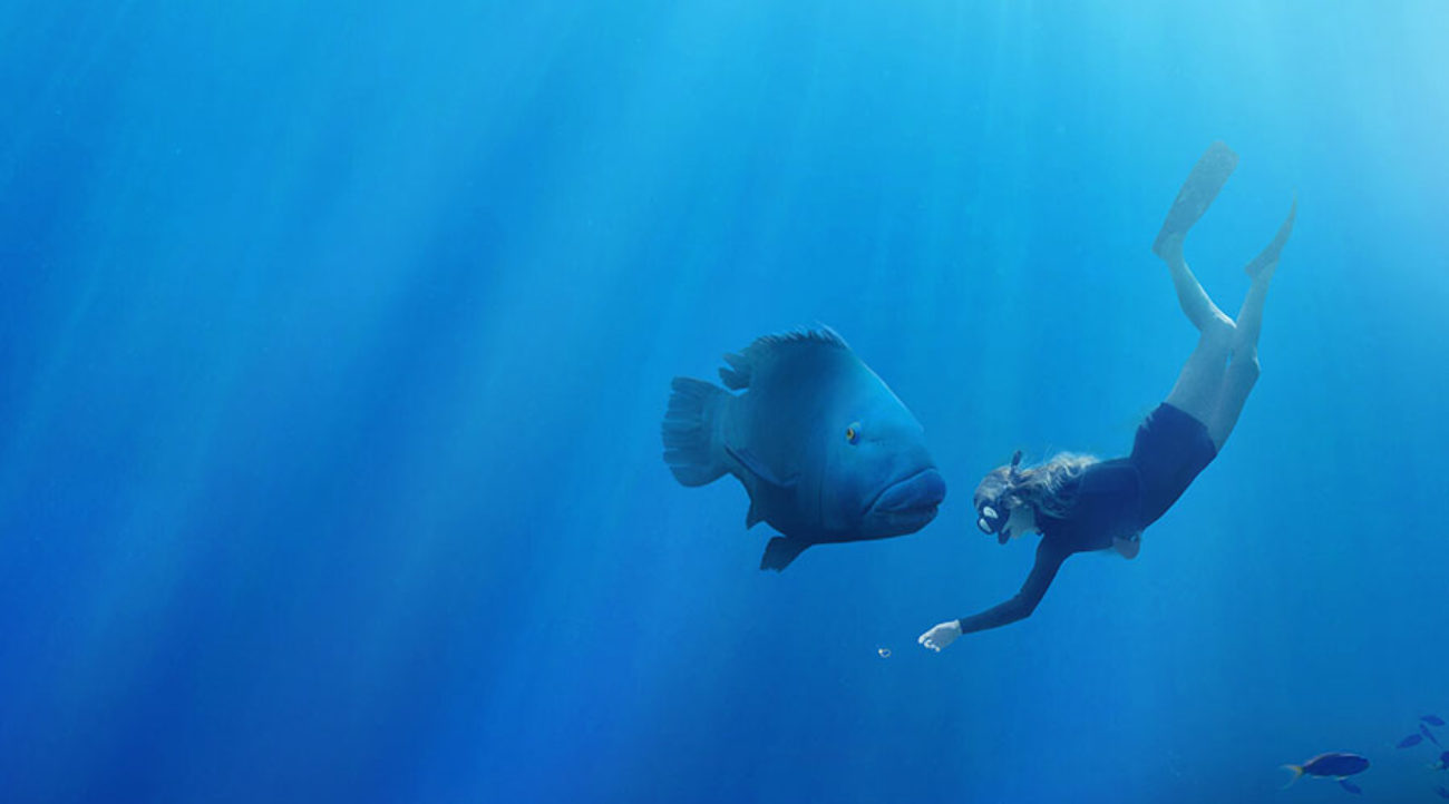 BlueBack plot, cast and streaming of the film on Sky Cinema Uno