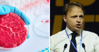 Immagine di copertina