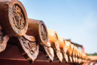 Immagine di copertina