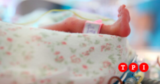 Immagine di copertina