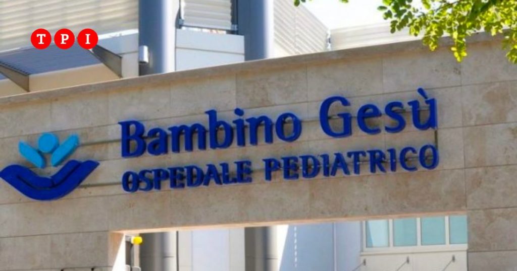 Vaticano Leonardo-donazione milione euro Ospedale Bambino Gesù inopportuno guerra