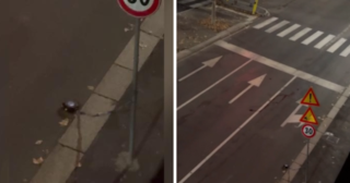 Immagine di copertina