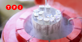 Immagine di copertina