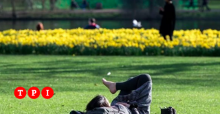 Immagine di copertina