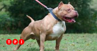 Immagine di copertina