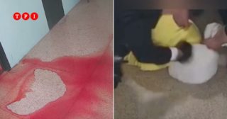 Immagine di copertina