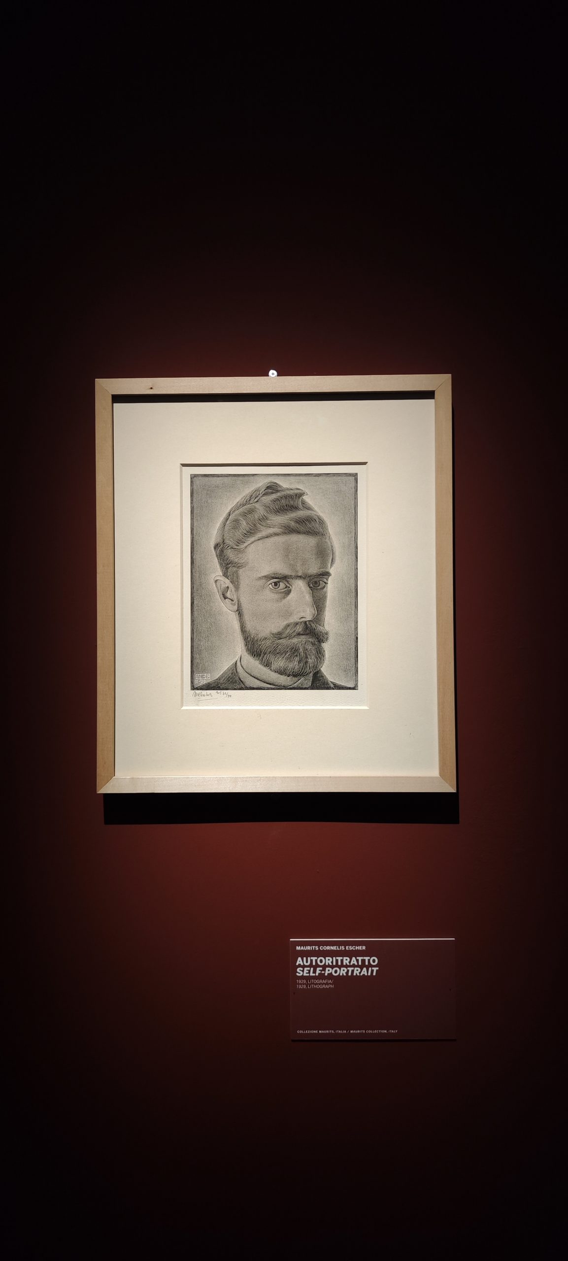 La mostra di Escher a Palazzo Bonaparte prorogata a grande richiesta fino al 5 maggio 2024