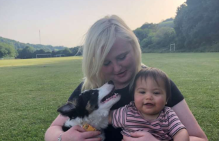 Immagine di copertina