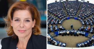 Immagine di copertina