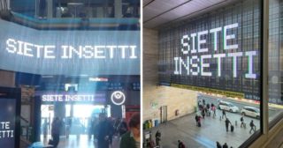 Immagine di copertina