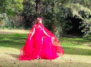 Immagine di copertina