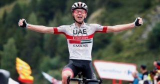 Immagine di copertina