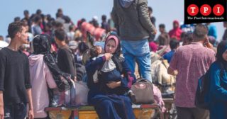 Immagine di copertina