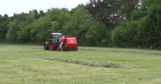 Immagine di copertina