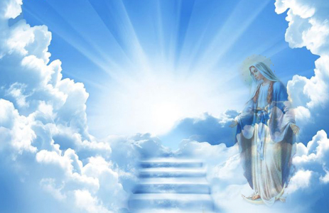 Buona Immacolata 2024 frasi e immagini per WhatsApp, 8 dicembre