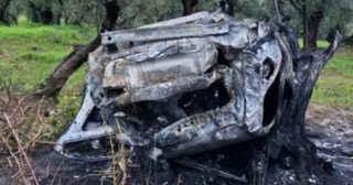 Immagine di copertina