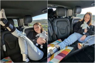 Immagine di copertina