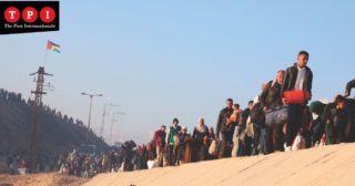 Immagine di copertina