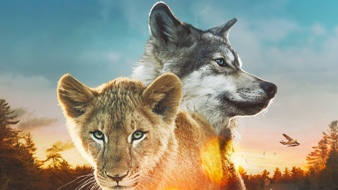 lupo leone da Tpi.it Il lupo e il leone tutto quello che c’è da sapere sul film