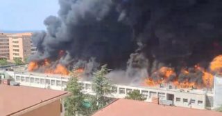 Immagine di copertina