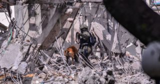 Immagine di copertina