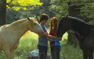 Immagine di copertina